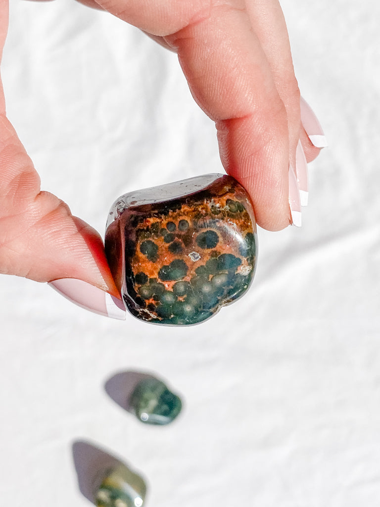 Ocean Jasper Tumbles | Large