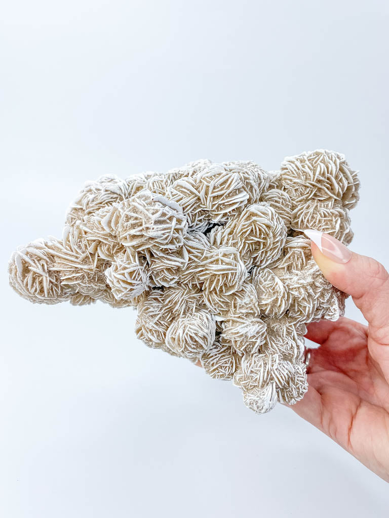 Desert Rose Selenite Cluster Statement Piece 1.3kg