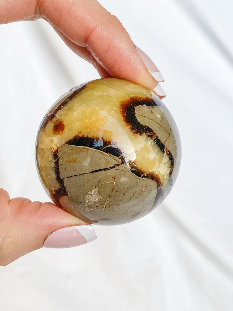 Septarian Sphere | Large