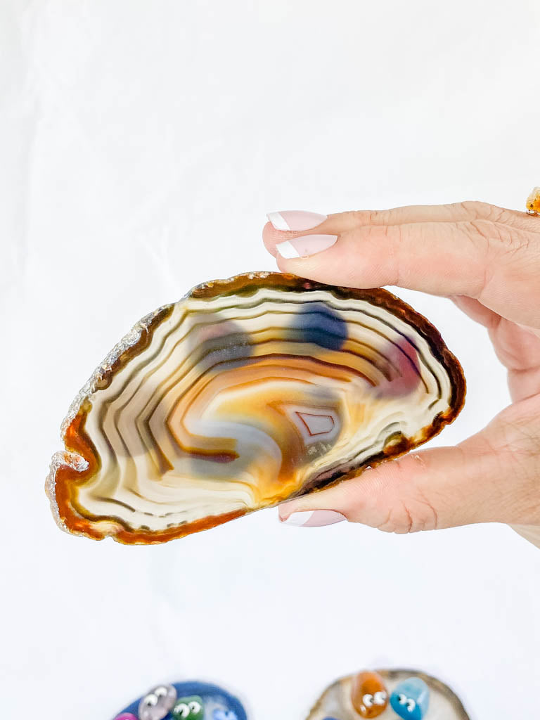 Agate Coaster Rock Friends | Large