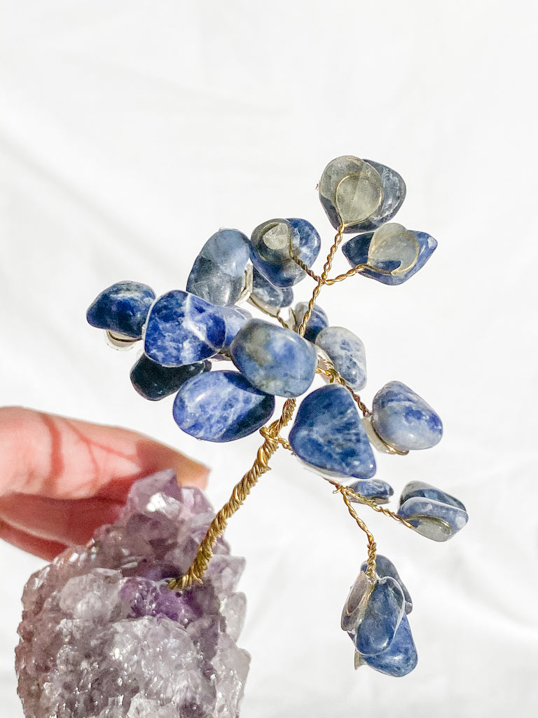 Wire Tree Sodalite on Amethyst Base