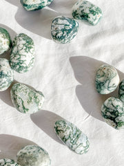 Tree Agate Tumbles | Medium