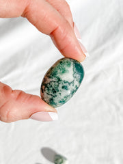 Tree Agate Tumbles | Medium