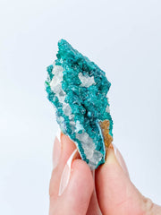 Dioptase Mineral Specimen 39g