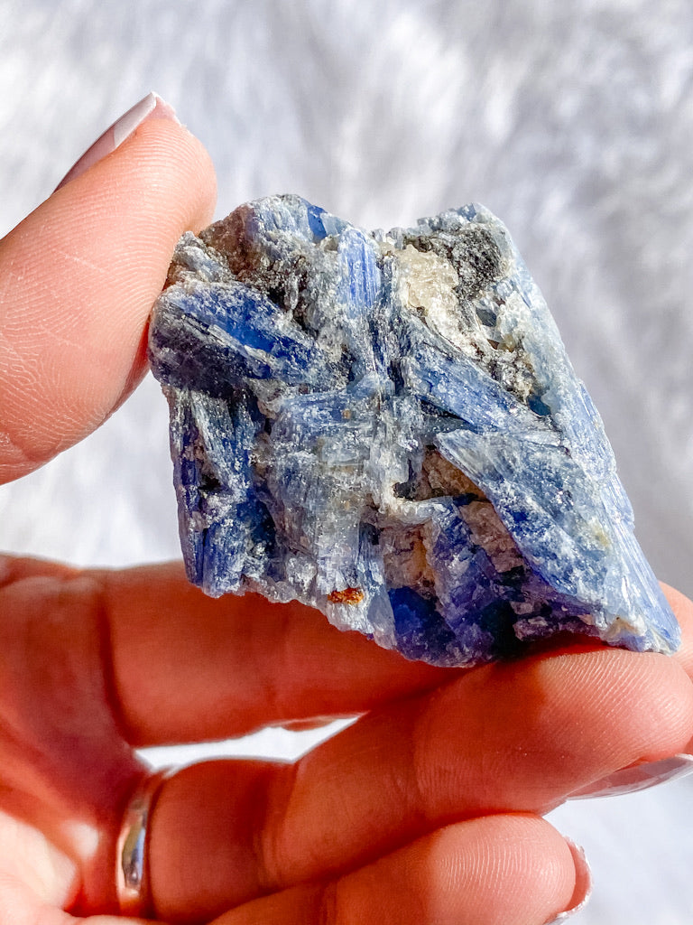 Blue Kyanite with Mica and Quartz Natural | Medium