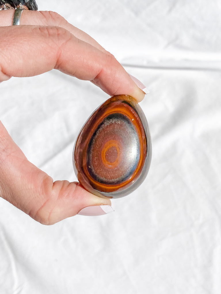 Tiger Eye Egg | Medium