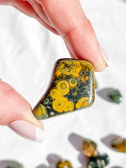 Ocean Jasper Tumbles | Medium