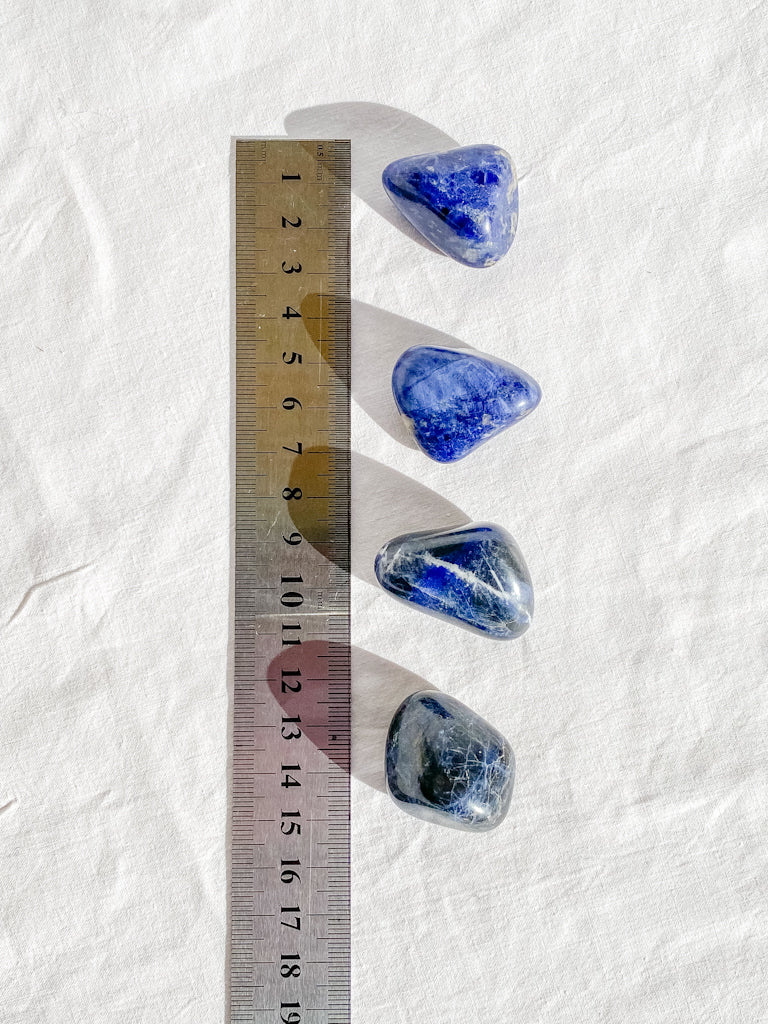 Sodalite Tumbles | Medium