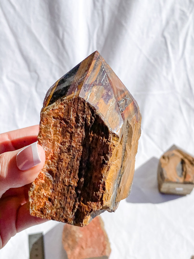 Tiger Eye Red and Brown Semi Polished Point | Large