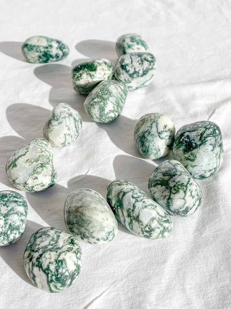 Tree Agate Tumbles | Medium