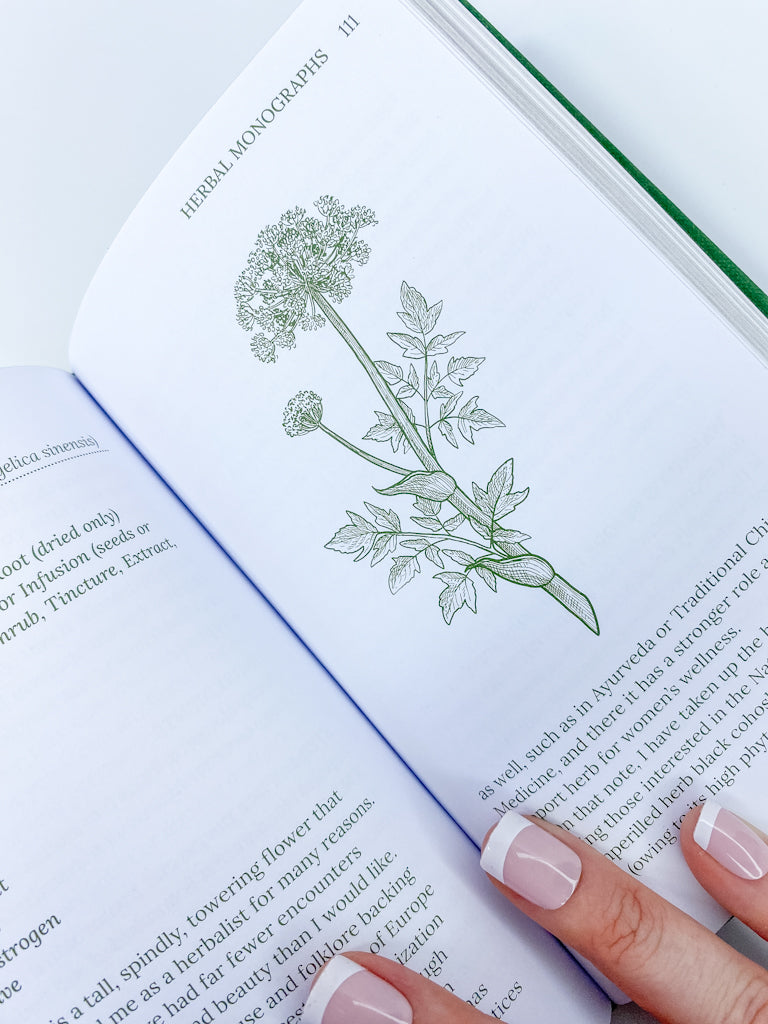 Herbalism | Plants and Potions that Heal