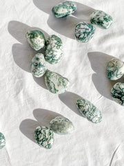 Tree Agate Tumbles | Medium