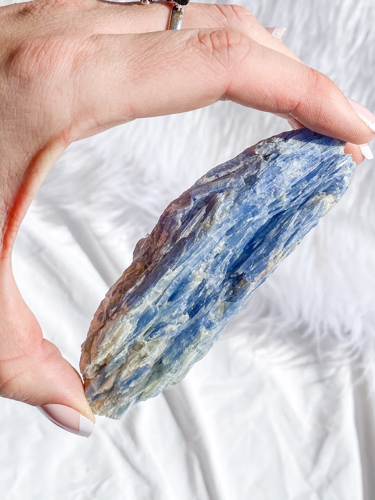 Blue Kyanite with Mica and Quartz Natural | X Large