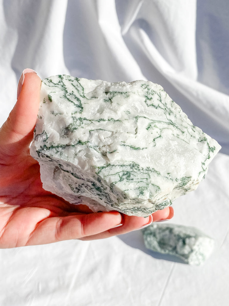 Tree Agate Natural | XXX Large