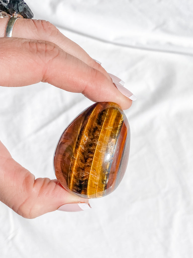 Tiger Eye Egg | Medium