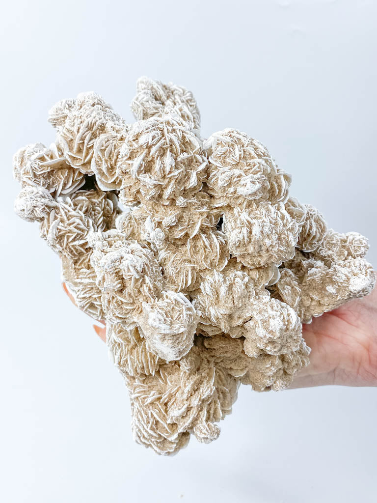 Desert Rose Selenite Cluster Statement Piece 1.3kg