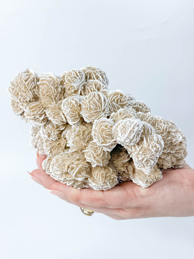 Desert Rose Selenite Cluster Statement Piece 1.3kg