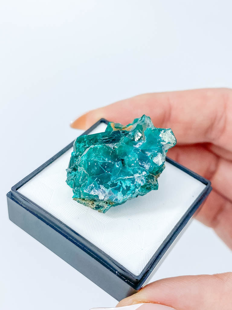 Dioptase Mineral Specimen 17g