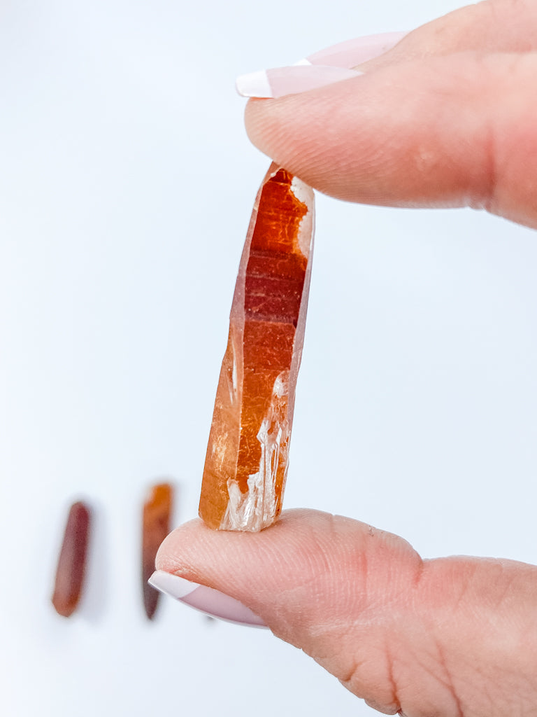 Lemurian Tangerine Natural | Small