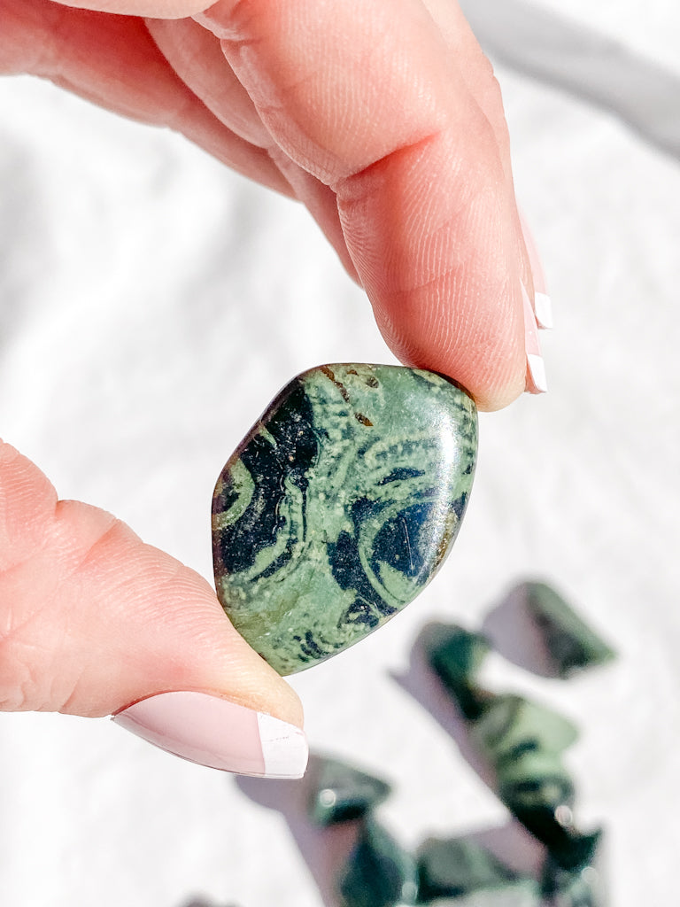 Crocodile Jasper [Kambaba] Tumbles | Small