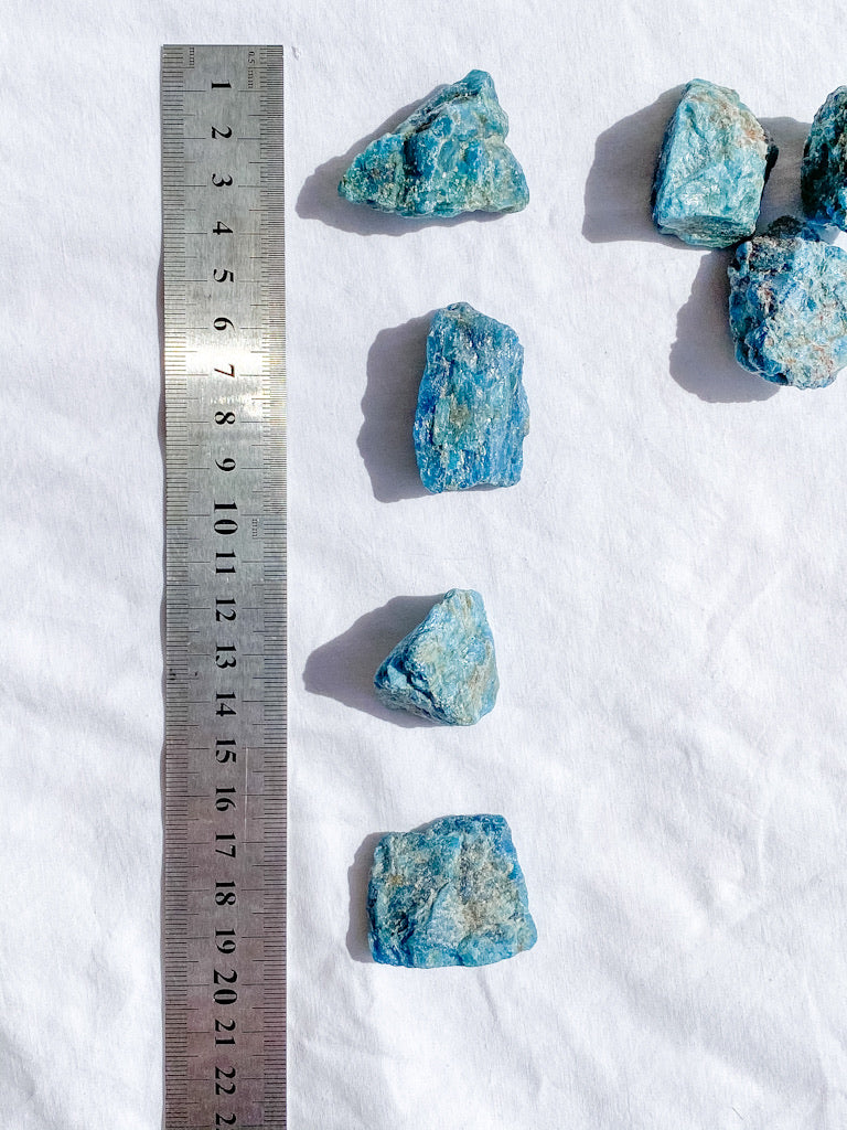 Apatite Natural | X Small