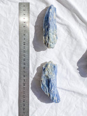 Blue Kyanite with Mica and Quartz Natural | X Large