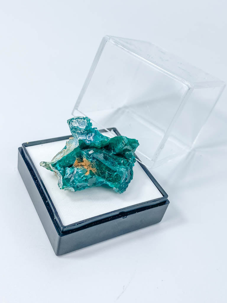 Dioptase Mineral Specimen 17g