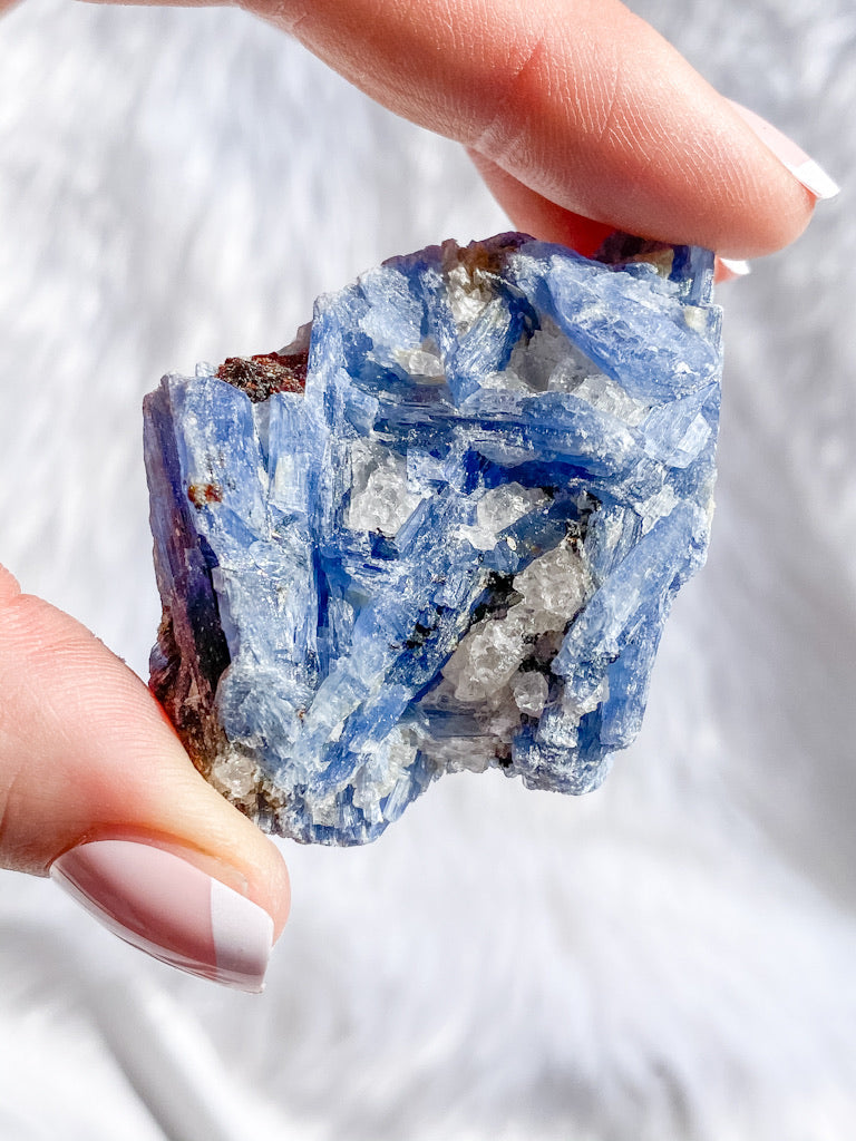 Blue Kyanite with Mica and Quartz Natural | Medium