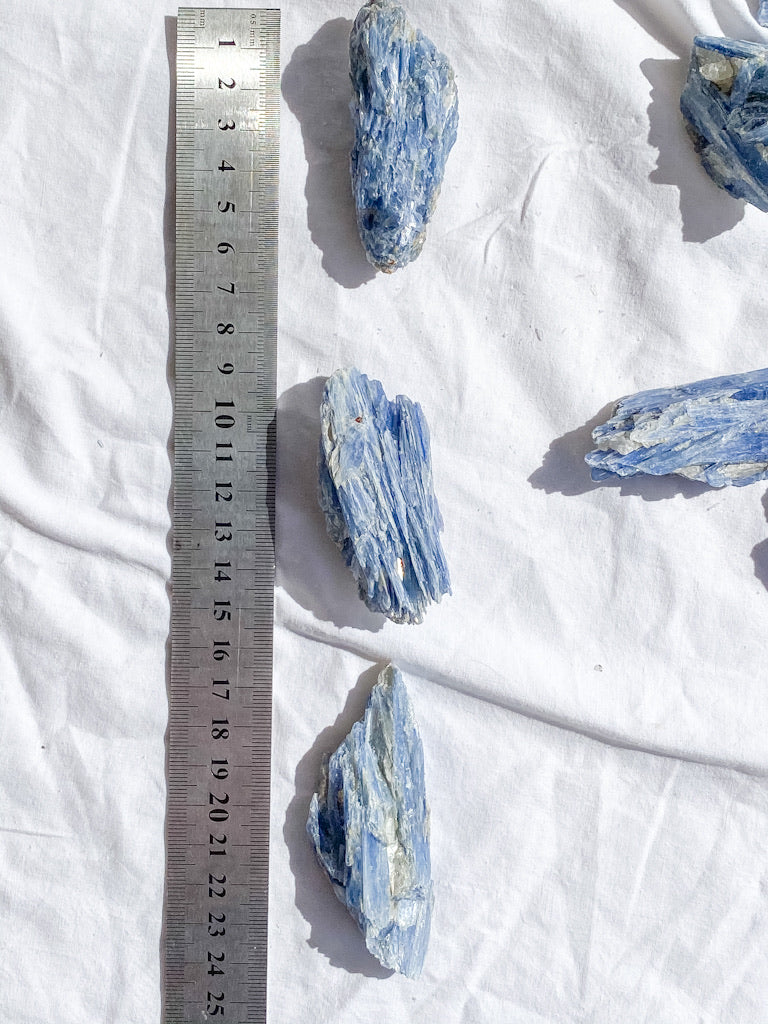 Blue Kyanite with Mica and Quartz Natural | Small