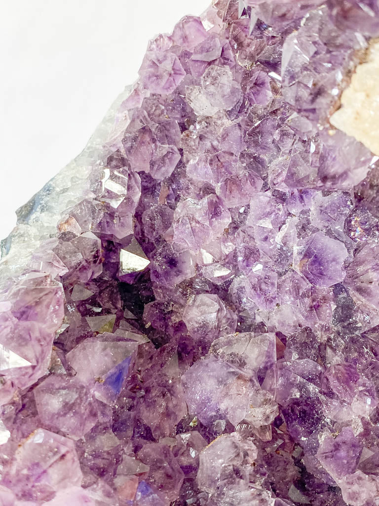 Amethyst Cluster Wave 3kg