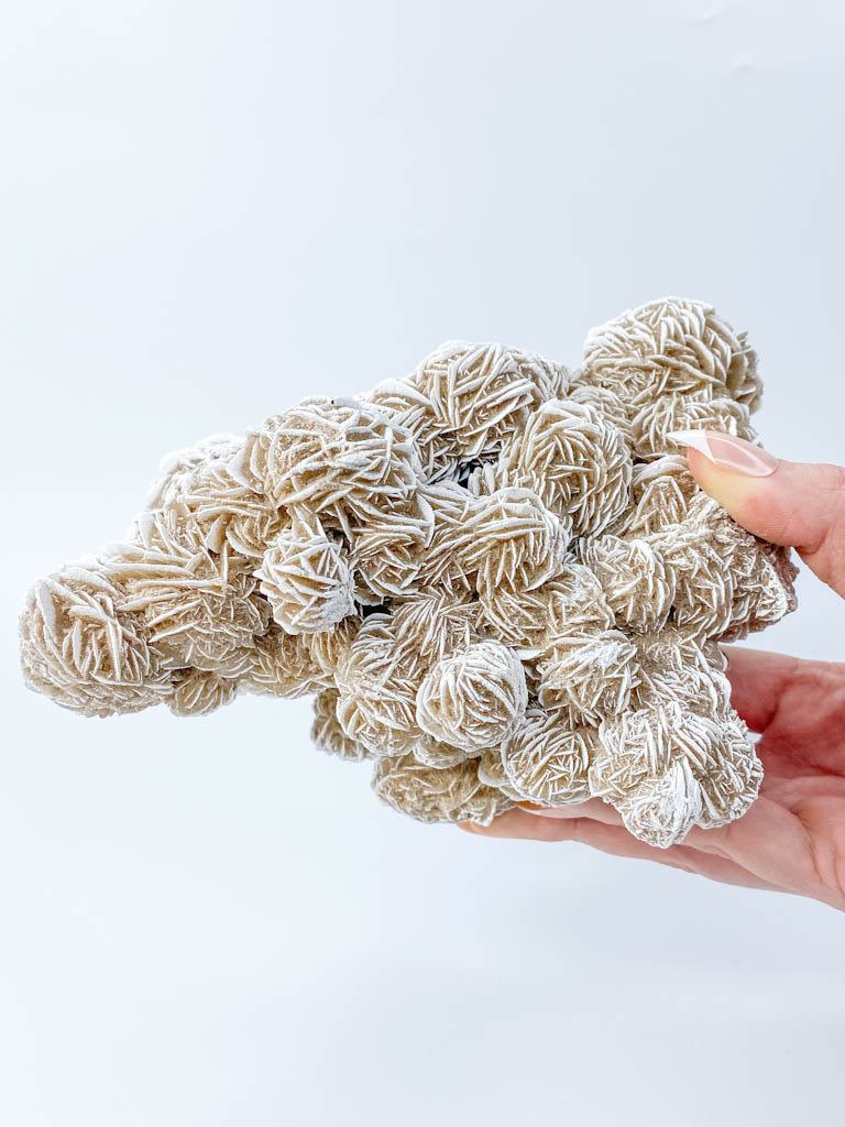 Desert Rose Selenite Cluster Statement Piece 1.3kg