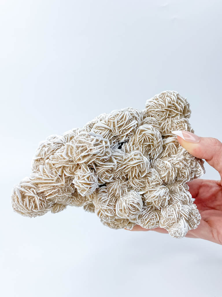 Desert Rose Selenite Cluster Statement Piece 1.3kg