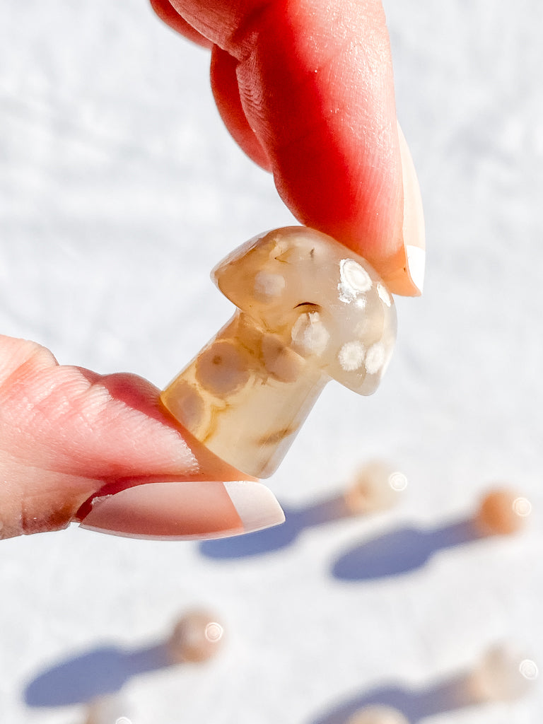 Flower Agate Fairy Mushroom | Mini