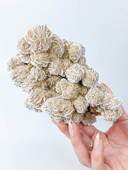 Desert Rose Selenite Cluster Statement Piece 1.3kg