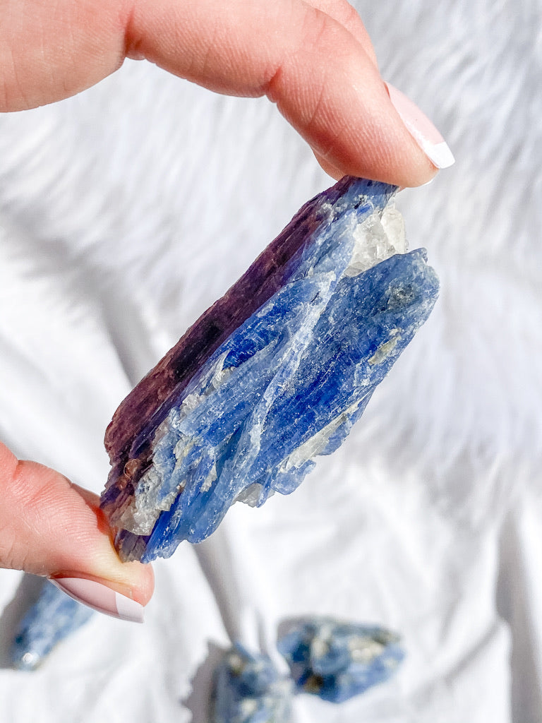 Blue Kyanite with Mica and Quartz Natural | Small