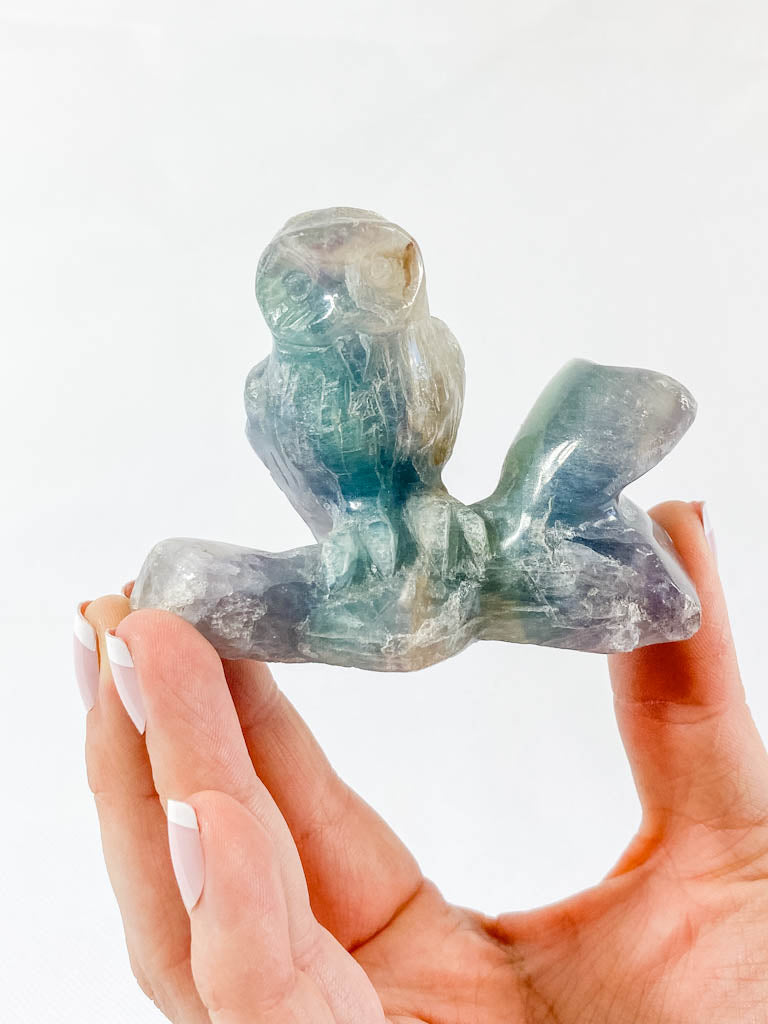 Fluorite Owl Carving