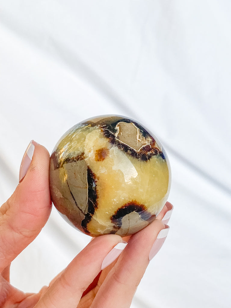 Septarian Sphere | Large