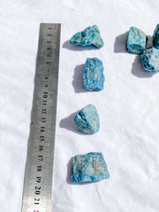 Apatite Natural | X Small