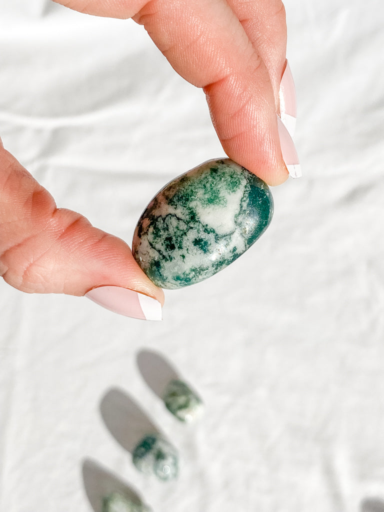 Tree Agate Tumbles | Medium