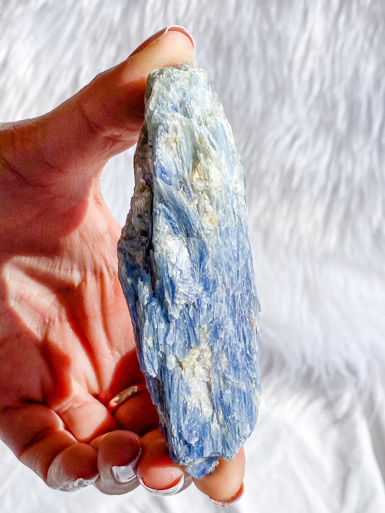 Blue Kyanite with Mica and Quartz Natural | X Large