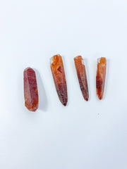 Lemurian Tangerine Natural | Small