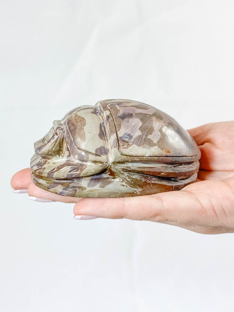 Zebra Stone Scarab Beetle Carving