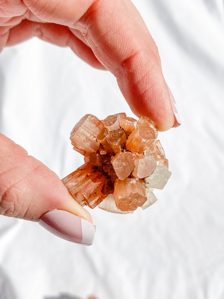 Aragonite Sputnik | X Small