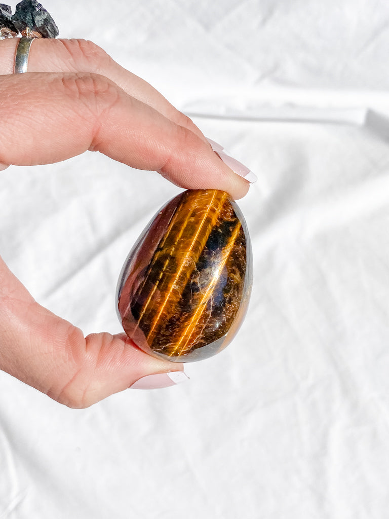 Tiger Eye Egg | Medium