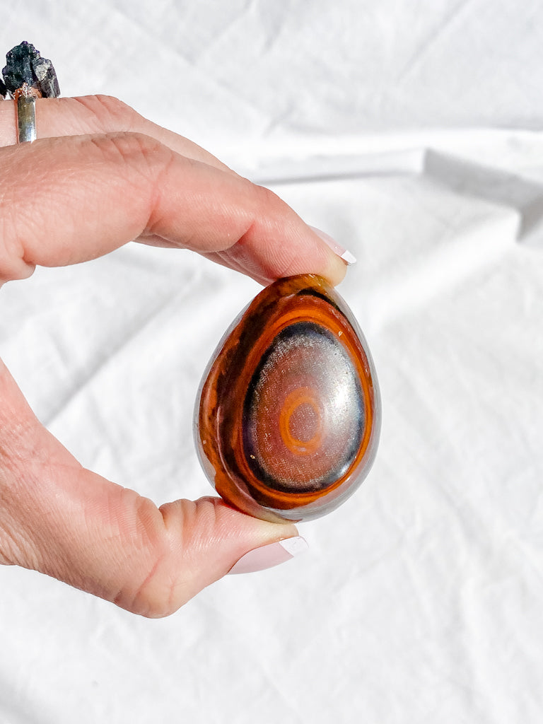 Tiger Eye Egg | Medium