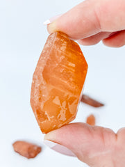 Lemurian Tangerine Natural | Medium