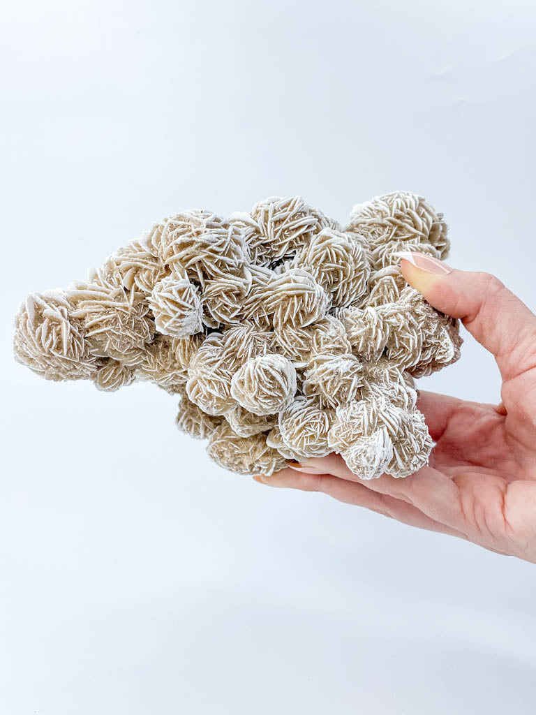 Desert Rose Selenite Cluster Statement Piece 1.3kg