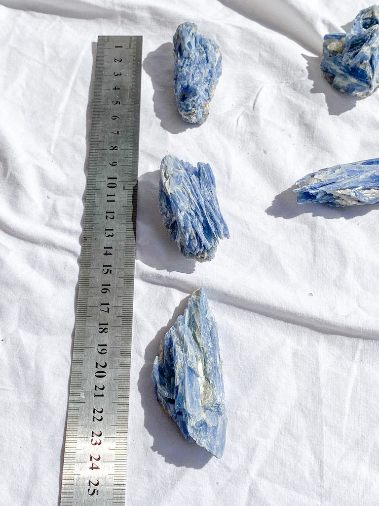 Blue Kyanite with Mica and Quartz Natural | Small