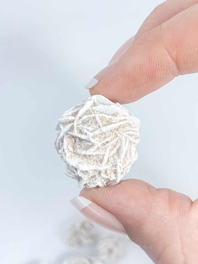 Desert Rose Selenite Natural | Small