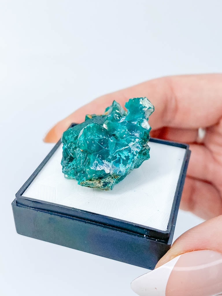 Dioptase Mineral Specimen 17g